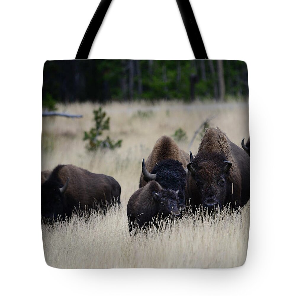 Bison- Yellowstone- Images Od Rae Ann M> Garrett- Tote Bag featuring the photograph The prairie Guardians- by Rae Ann M Garrett