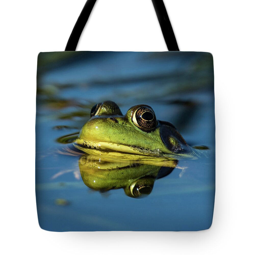 Frog Tote Bag featuring the photograph The Prince by Jody Partin