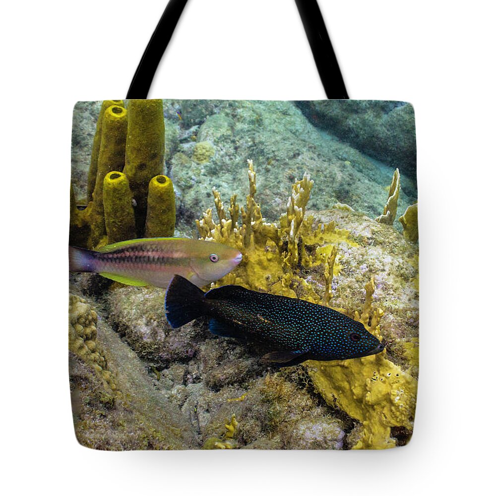 Ocean Tote Bag featuring the photograph The Princess and the Grouper by Lynne Browne