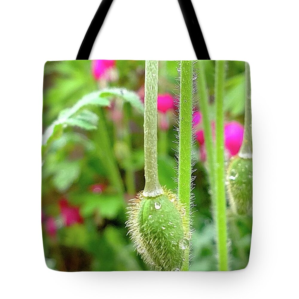 April Tote Bag featuring the photograph The promise of April showers by Bruce Carpenter