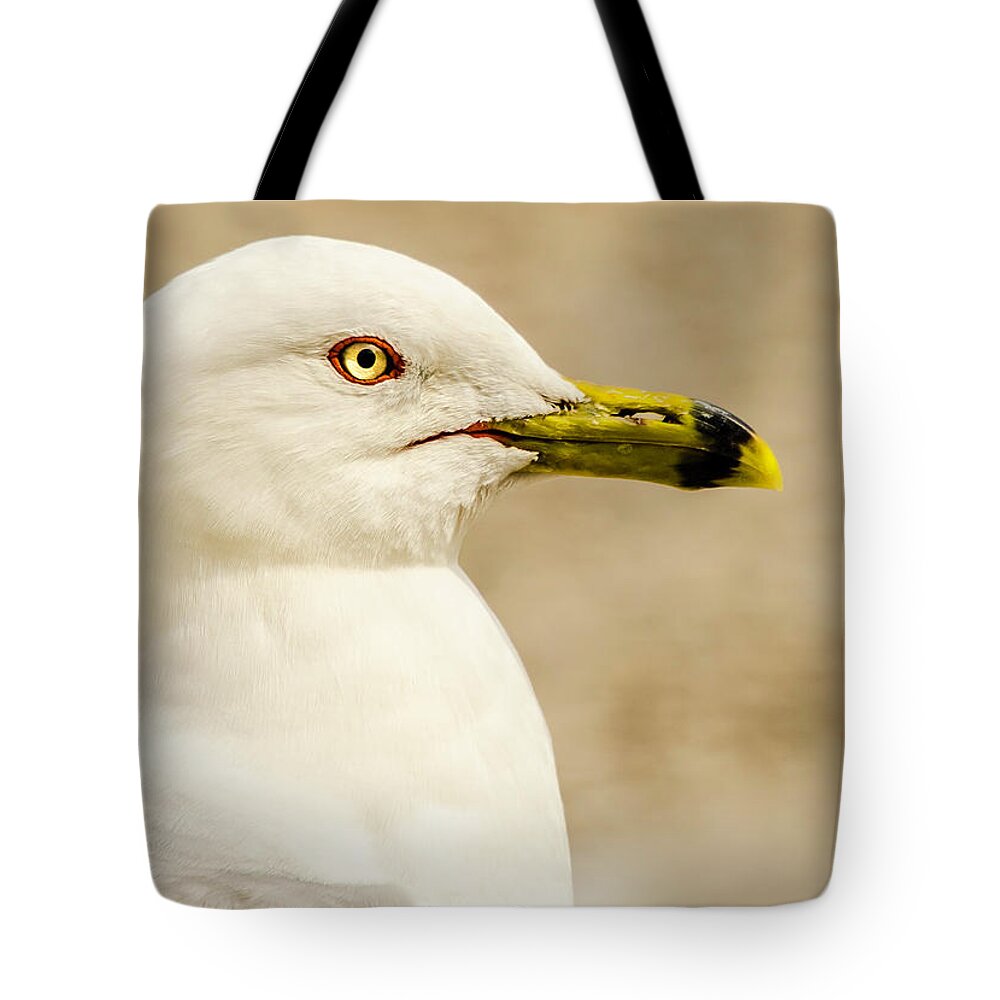 Great Lakes Gull Tote Bag featuring the photograph The Proud Gull by John Roach
