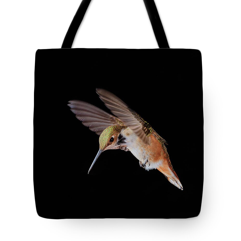 Animal Tote Bag featuring the photograph The Provocateur by Briand Sanderson