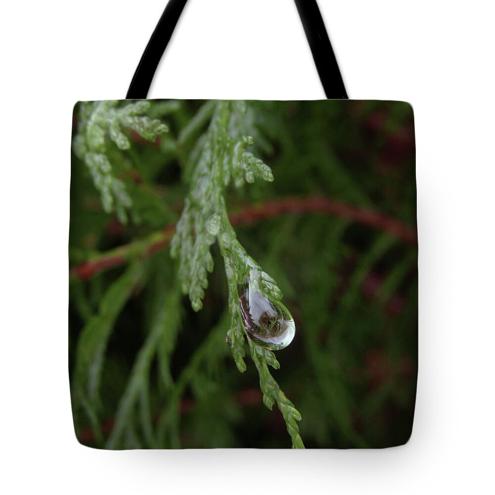 Raindrop Tote Bag featuring the photograph The Raindrop 2 by Kim Tran