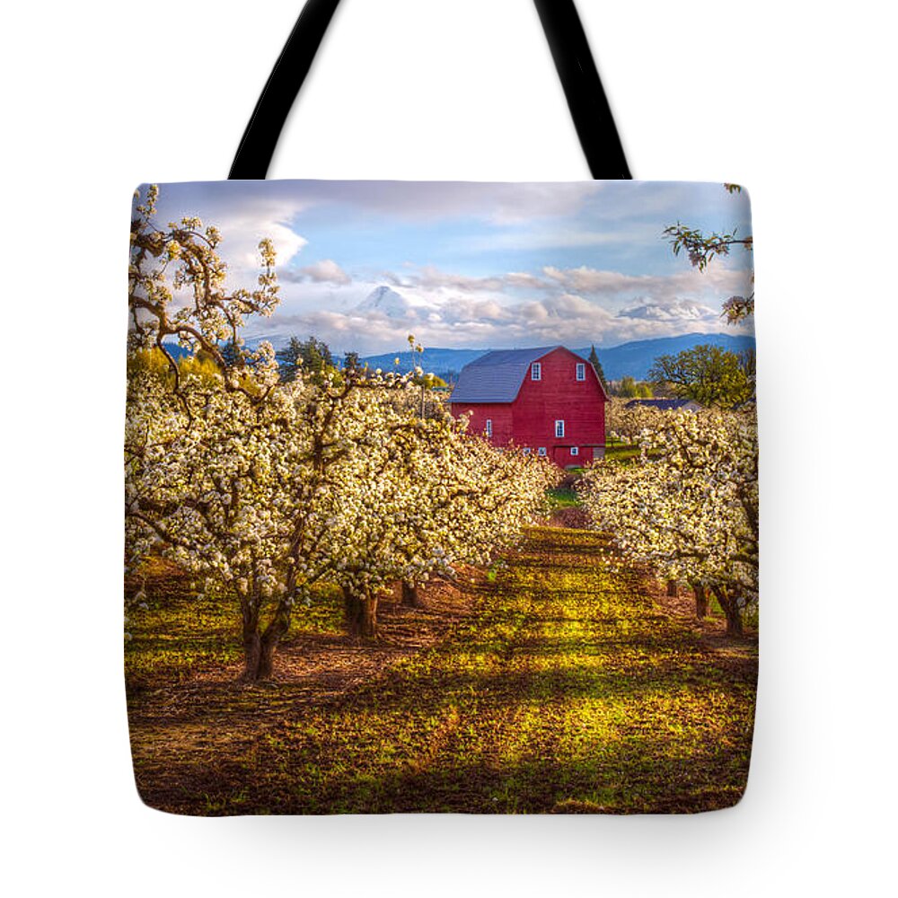Hood Tote Bag featuring the photograph The Red Barn at Sunset by Patrick Campbell