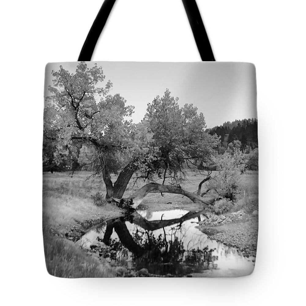 Dakota Tote Bag featuring the photograph Eye of the Stream by Greni Graph