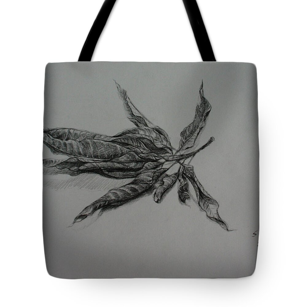 Leaf Tote Bag featuring the drawing The Relatives by Sukalya Chearanantana