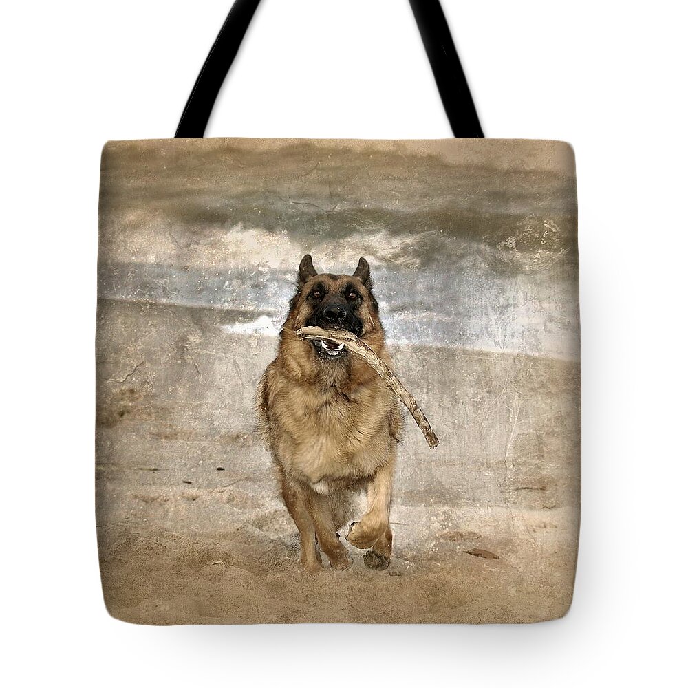 German Shepherd Dogs Tote Bag featuring the photograph The Retrieve by Angie Tirado