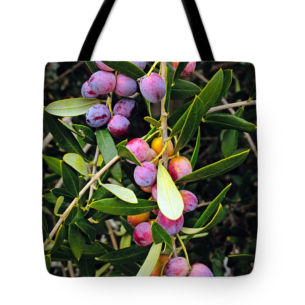 The Richest Gift Of Heaven Tote Bag featuring the photograph The Richest Gift of Heaven by Tikvah's Hope
