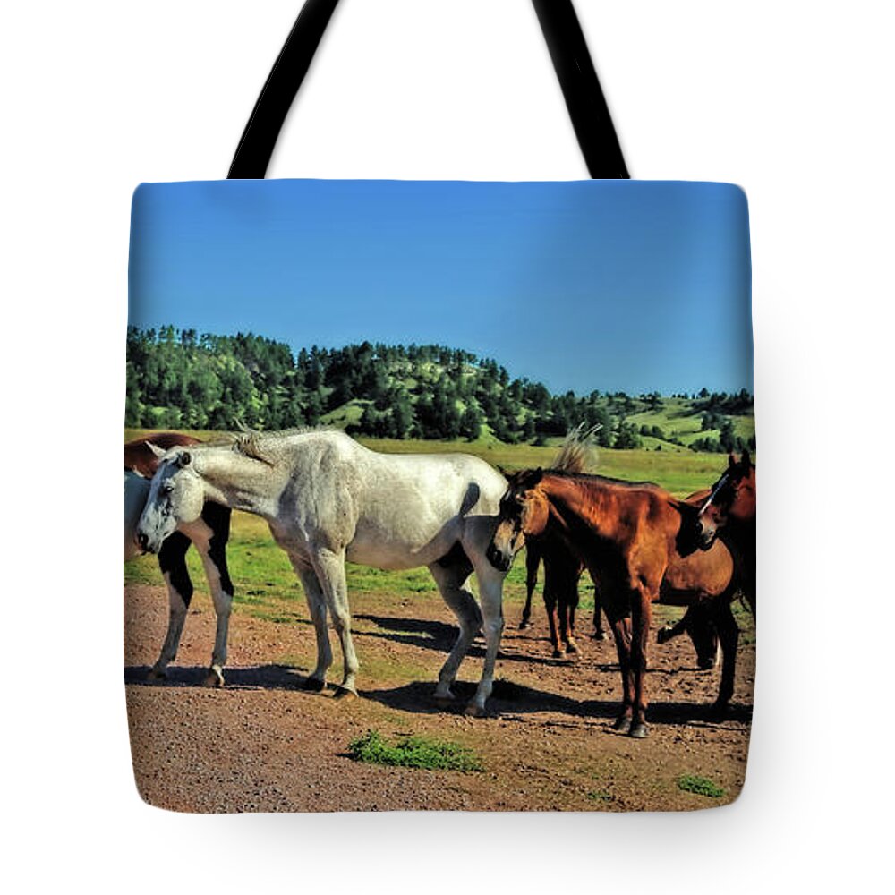 Horses Tote Bag featuring the photograph The Roadblock Registry by Elizabeth Winter
