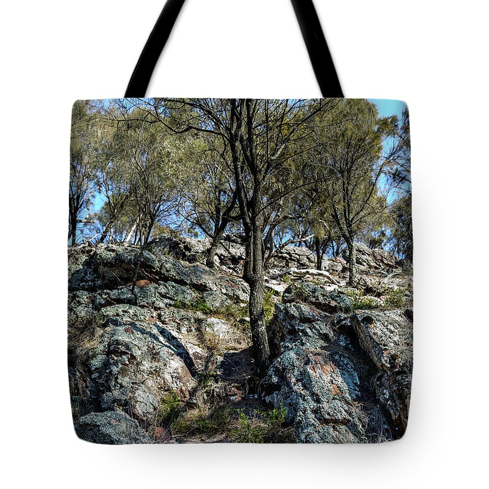 Landscape Tote Bag featuring the photograph The Rock Scenery 01 by Werner Padarin