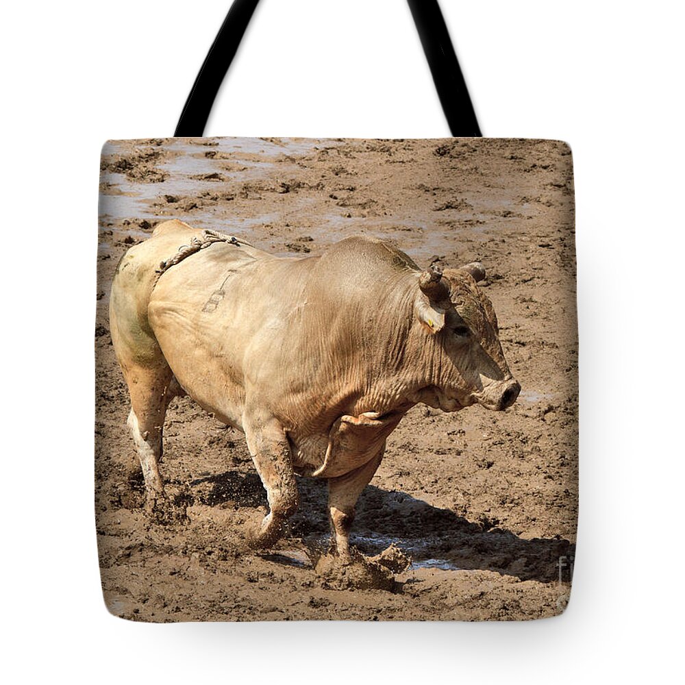Bull Tote Bag featuring the photograph The rodeo bull by Louise Heusinkveld