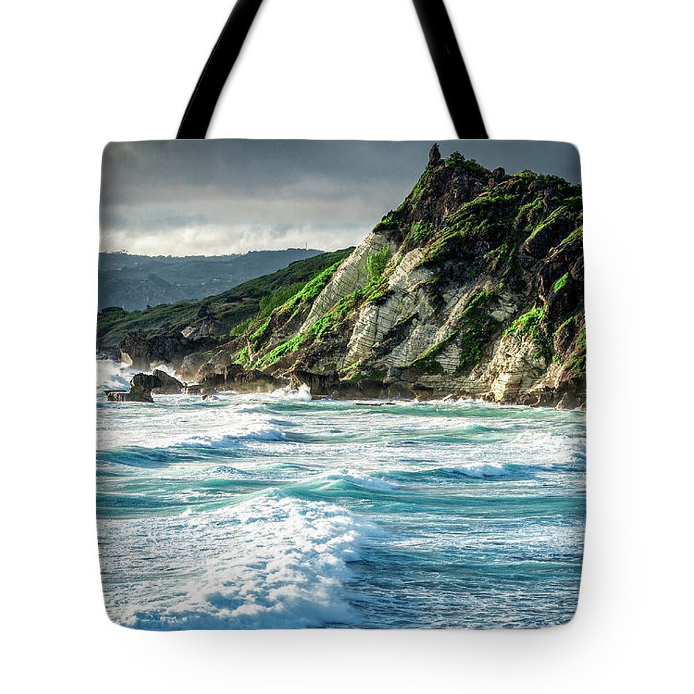  Tote Bag featuring the photograph The Rugged North Shore by Hugh Walker
