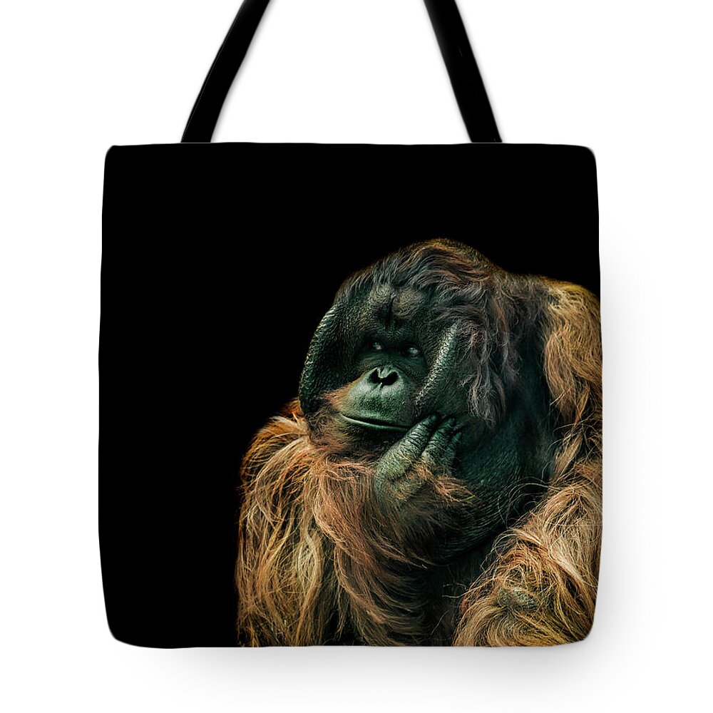 Orangutan Tote Bag featuring the photograph The Sceptic by Paul Neville
