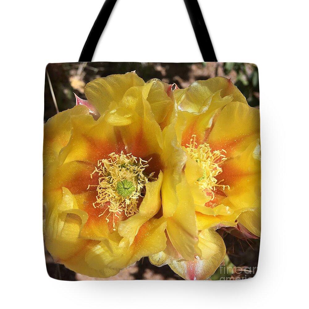 Cactus Flower Tote Bag featuring the photograph The Secrets of a Cactus by Pamela Henry