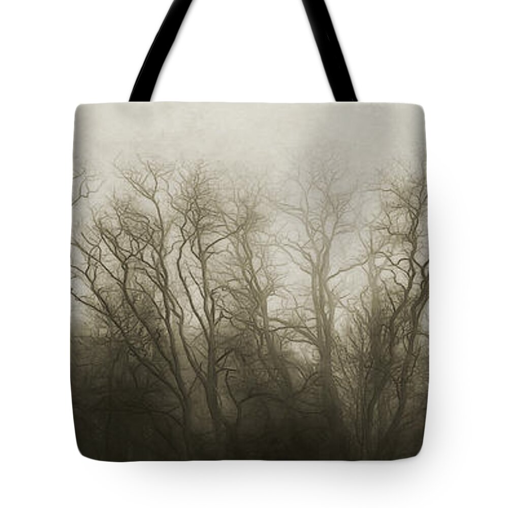 Foggy Tote Bag featuring the photograph The Secrets of the Trees by Scott Norris