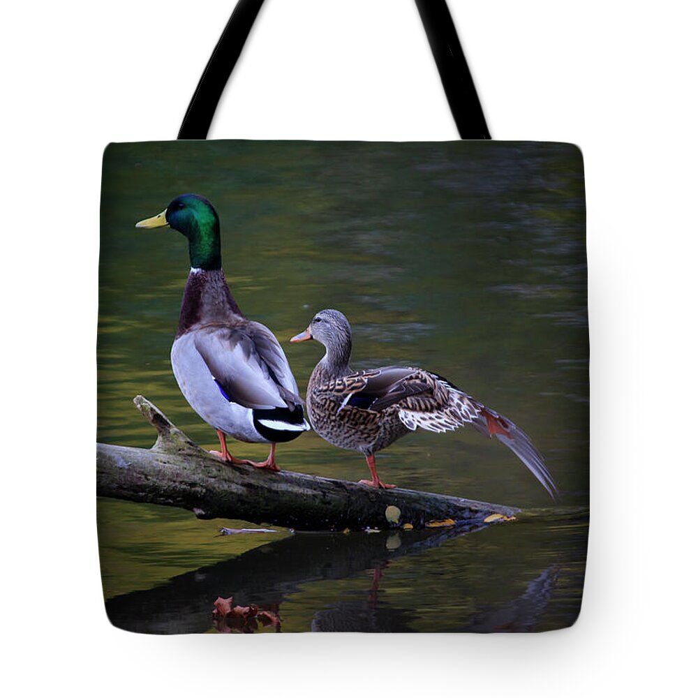 Gary Hall Tote Bag featuring the photograph The Seventh Inning Stretch by Gary Hall