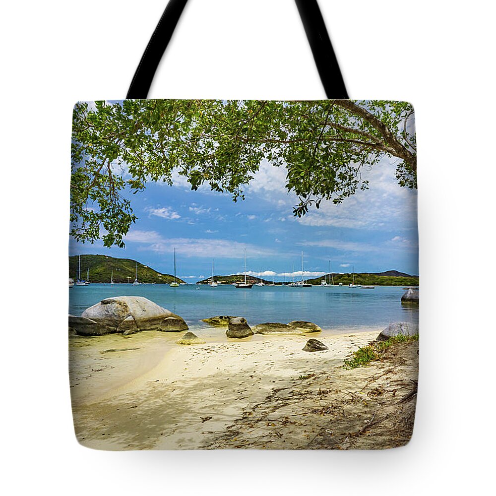 Pristine Tote Bag featuring the photograph Shade Tree by Amanda Jones