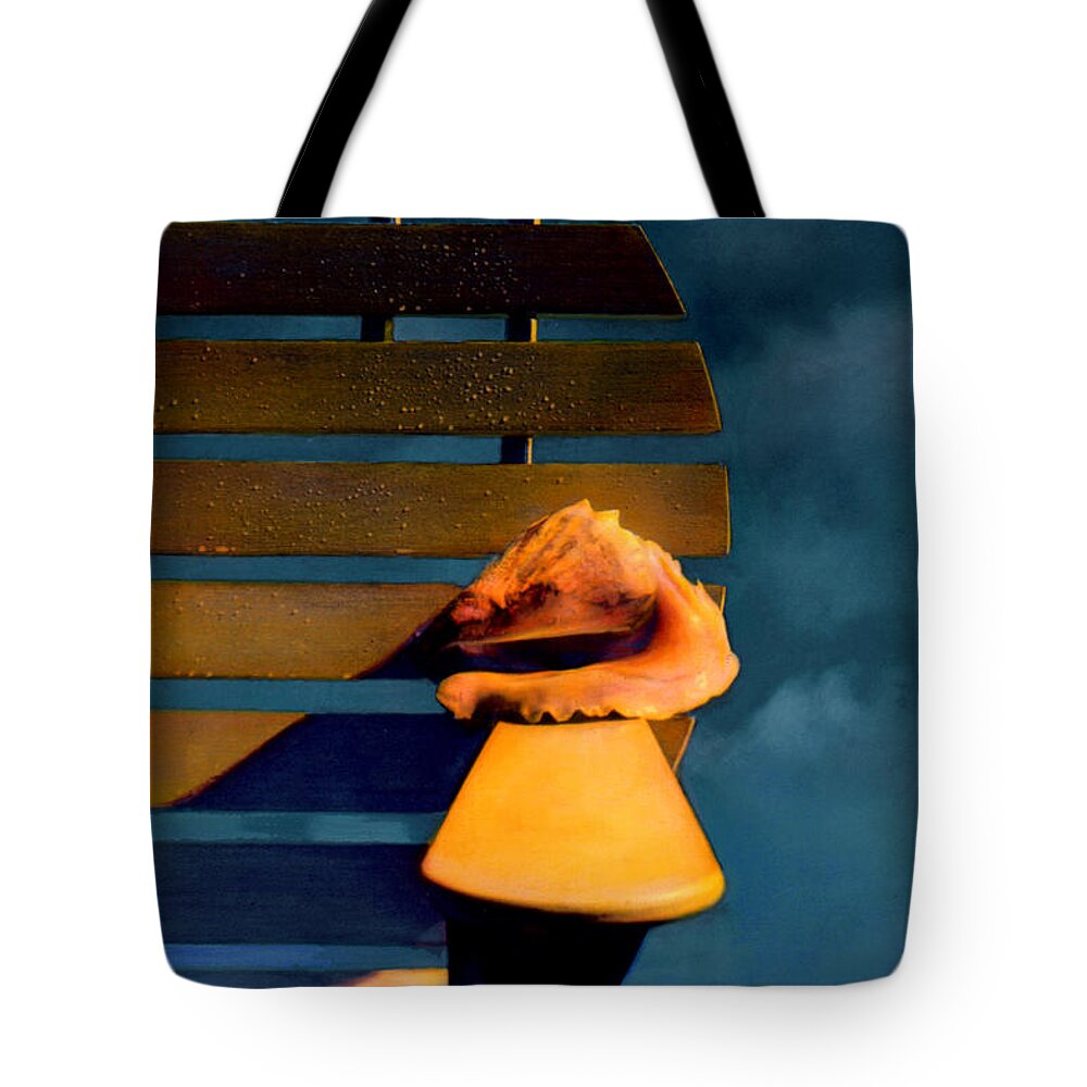 Joe Hoover Tote Bag featuring the photograph The Shell and The Storm by Joe Hoover
