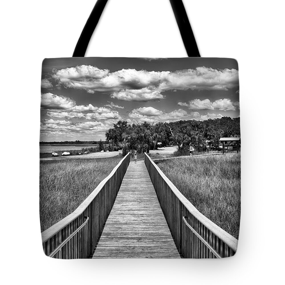 Nature Tote Bag featuring the photograph The Shell Mound by Howard Salmon