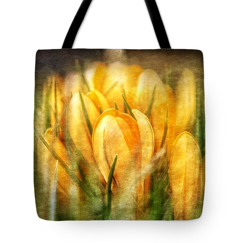 Flowers Tote Bag featuring the photograph The smell of spring by Jaroslav Buna