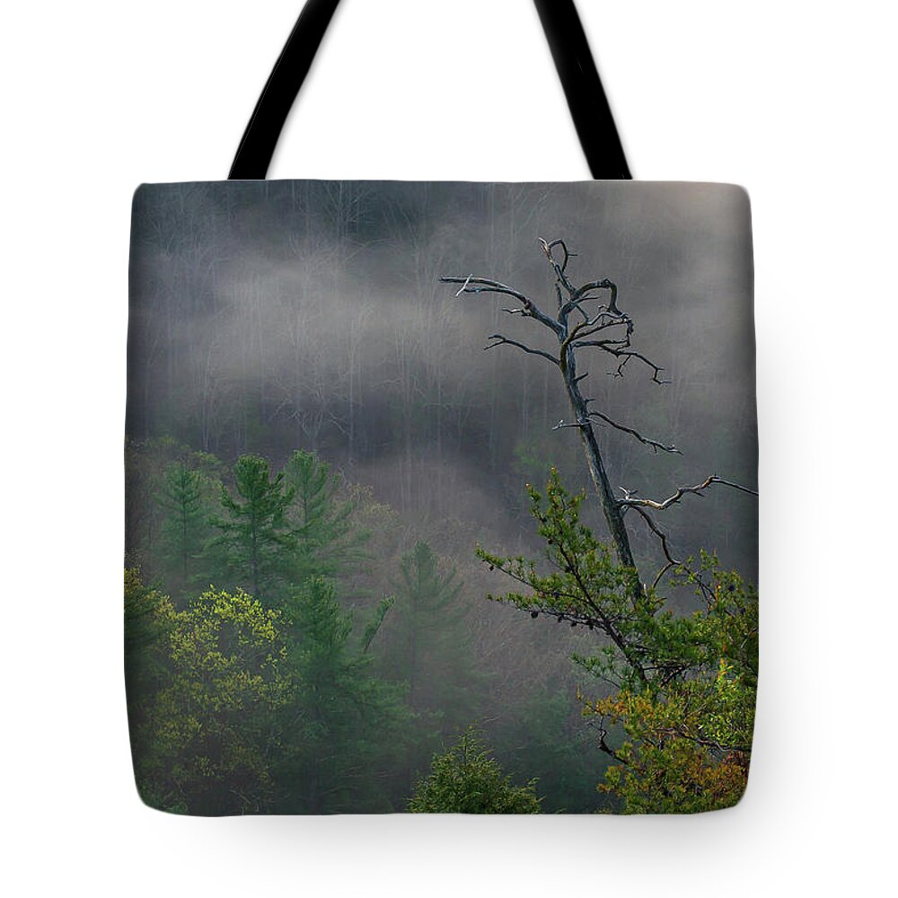 Mill Creek Lake Tote Bag featuring the photograph The snag by Ulrich Burkhalter
