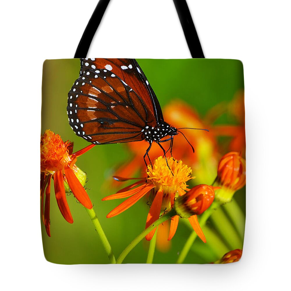 Butterfly Tote Bag featuring the photograph The Soldier by Melanie Moraga