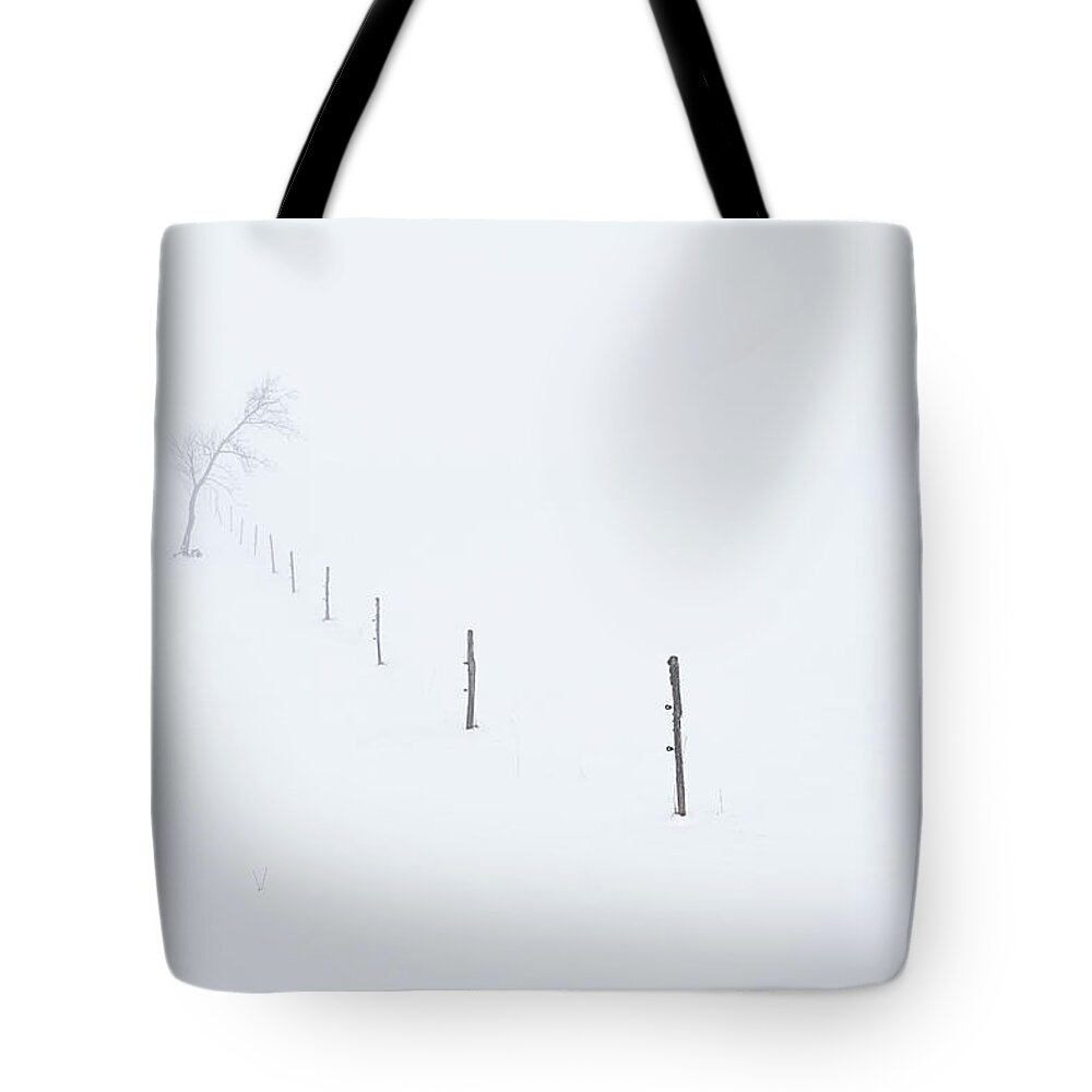 Tree Tote Bag featuring the photograph The sound of silence by Dominique Dubied
