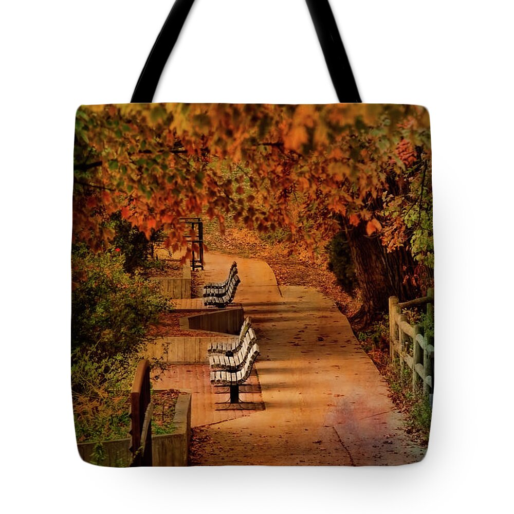 Park Benches Tote Bag featuring the photograph The Sound of Silence by Joan Bertucci