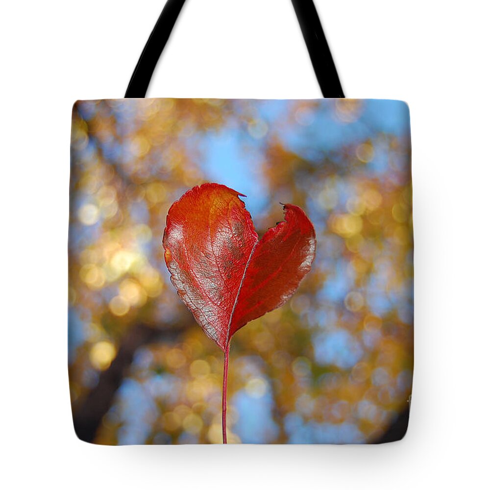 Heart Tote Bag featuring the photograph The Splendor of Fall by Debra Thompson