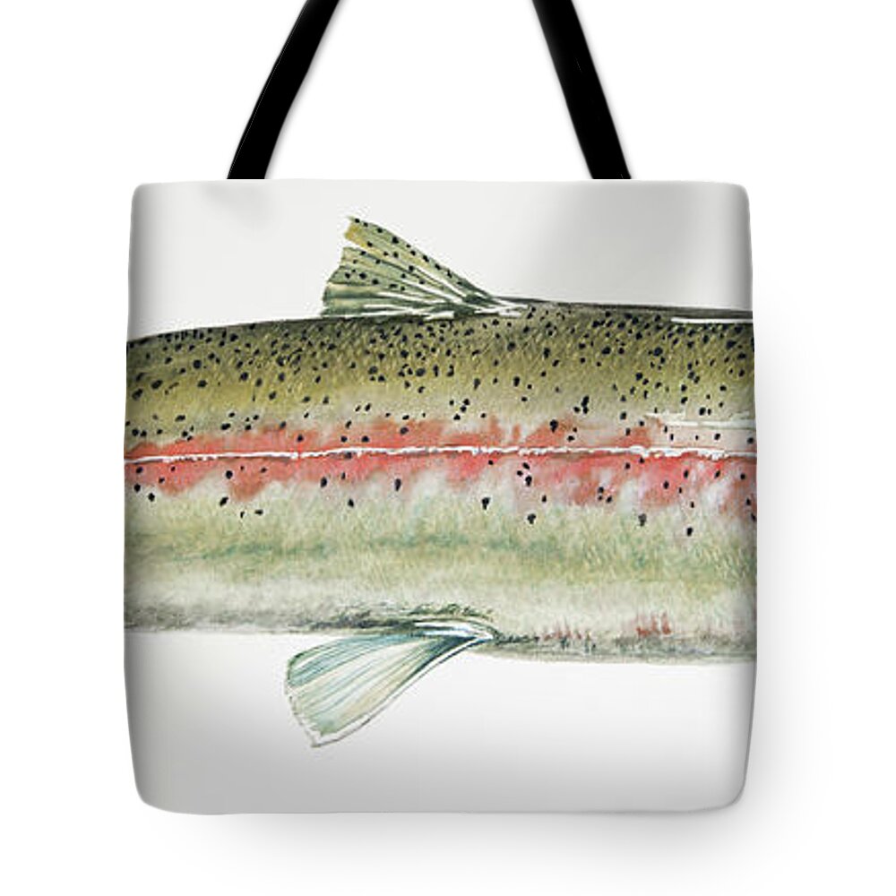 Trout Tote Bag featuring the painting The Steelhead by Link Jackson
