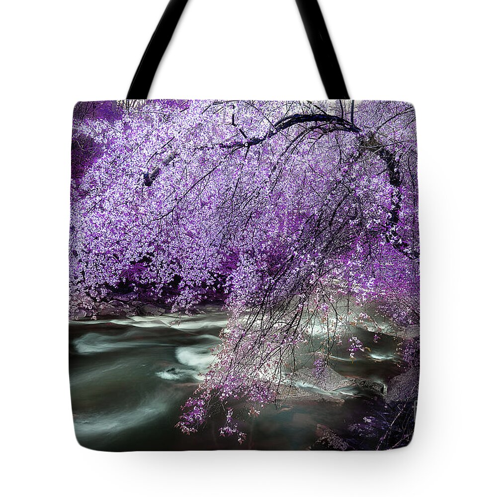 Spring Tree Tote Bag featuring the photograph The Stream's Healing Rhythm by Michael Eingle