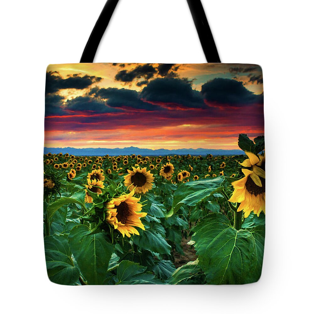 Aster Tote Bag featuring the photograph The Summer Winds by John De Bord