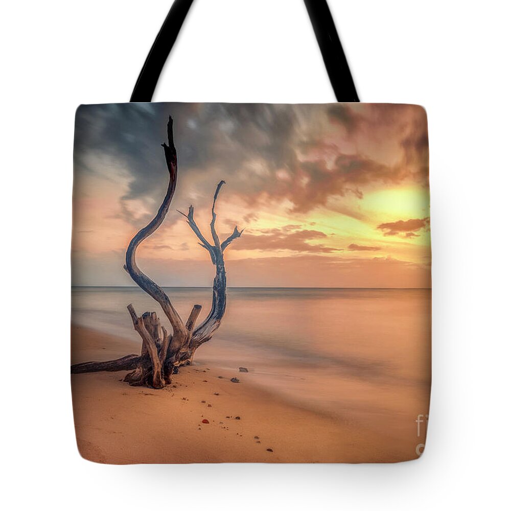  Tote Bag featuring the photograph The Swan At Sunset by Hugh Walker