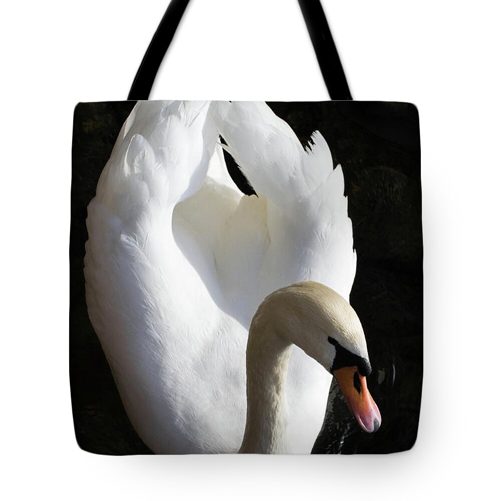Bird Tote Bag featuring the photograph The Swan by Jody Partin