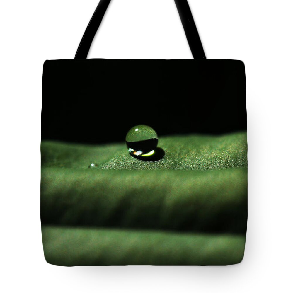 Connie Handscomb Tote Bag featuring the photograph The Tao Of Raindrop by Connie Handscomb