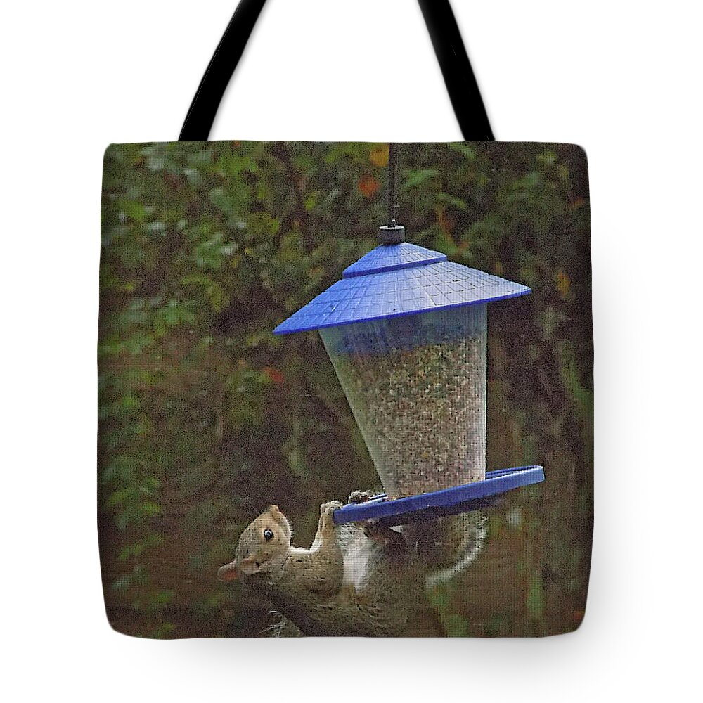 Thief Tote Bag featuring the photograph The Thief by Larry Mulvehill