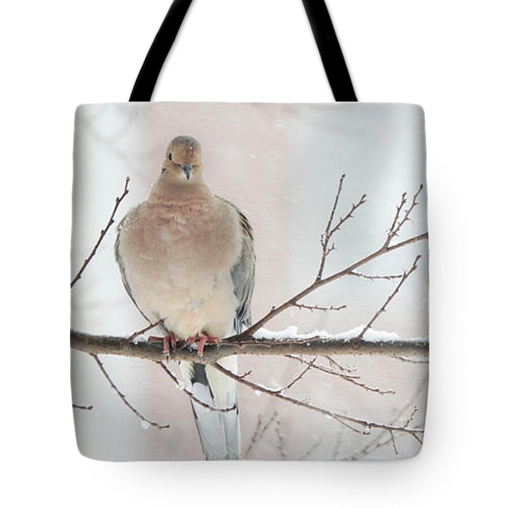 Mourning Dove Tote Bag featuring the photograph The Three Amigos by Jack Nevitt