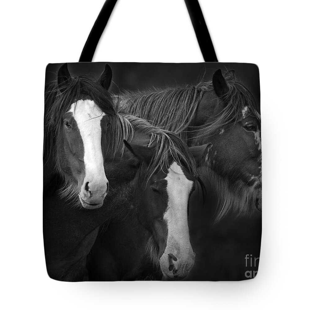 Festblues Tote Bag featuring the photograph The Three Sombreros.. by Nina Stavlund