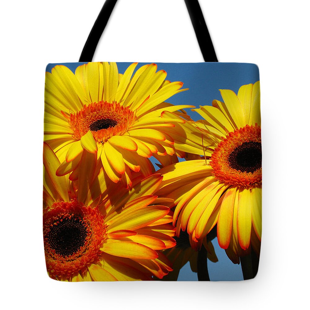 Sun Stars Tote Bag featuring the photograph The Three Tenors by Juergen Roth