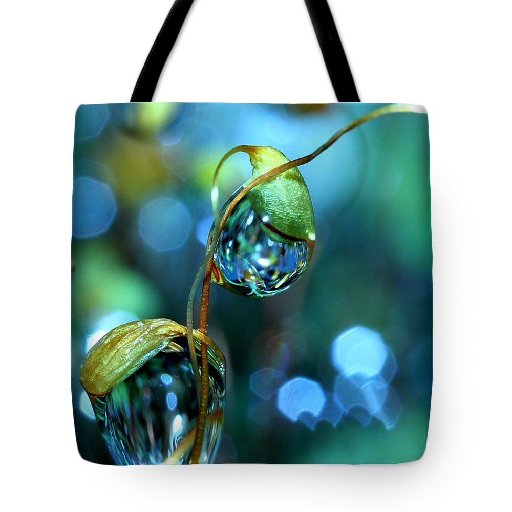 Moss Tote Bag featuring the photograph The Threesome by Sharon Johnstone