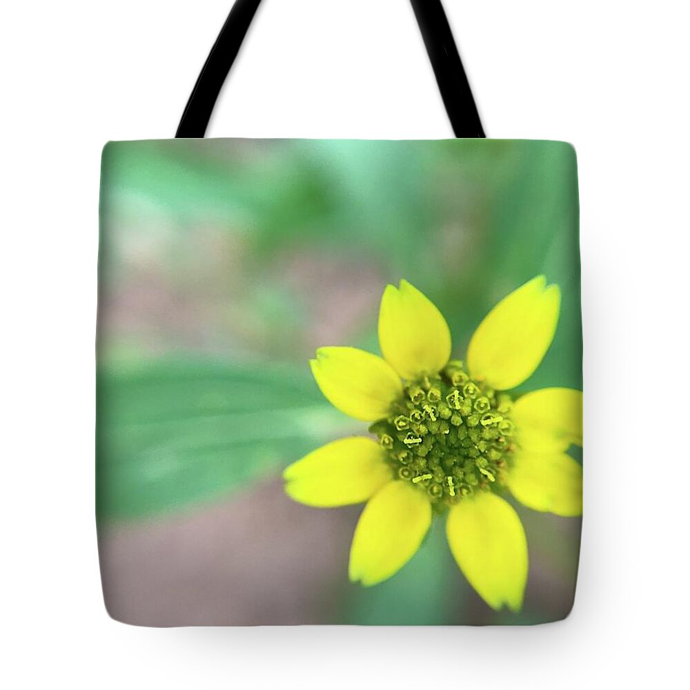 Minimalism Tote Bag featuring the photograph The Tiniest Joys by Brad Hodges