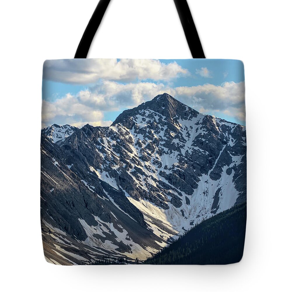 Landscape Tote Bag featuring the photograph The Top Of The Mountain by Maria Angelica Maira