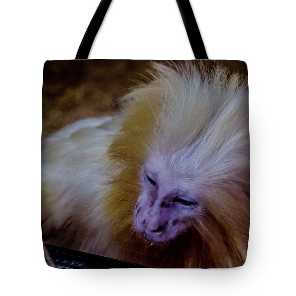 Little Monkey Tote Bag featuring the photograph The touch by Wolfgang Stocker