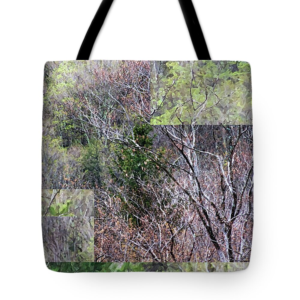 Woodland Tote Bag featuring the photograph The Transition - by Julie Weber