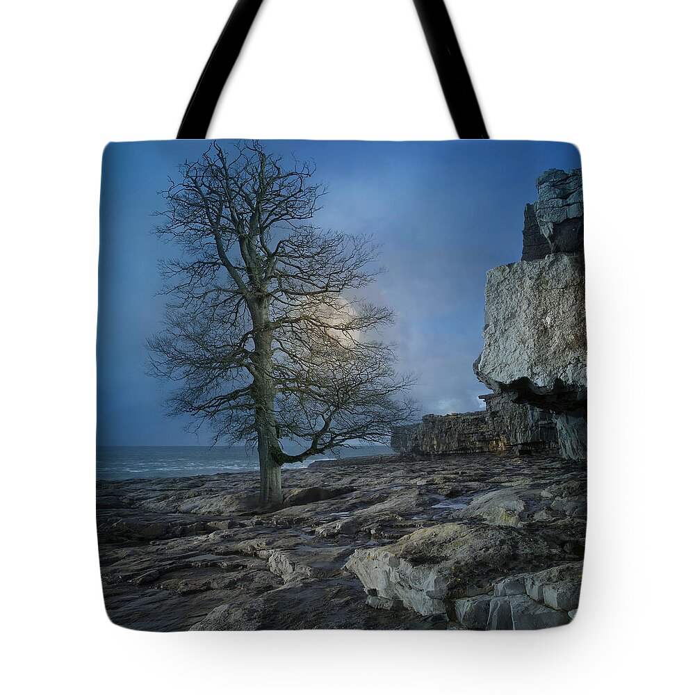 Ireland Tote Bag featuring the digital art The Tree of Inis Mor by Betsy Knapp