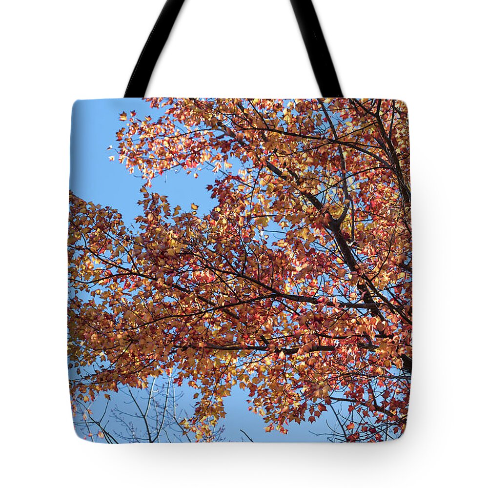 Tree Tops Tote Bag featuring the photograph The Tree Tops 5 - by Julie Weber