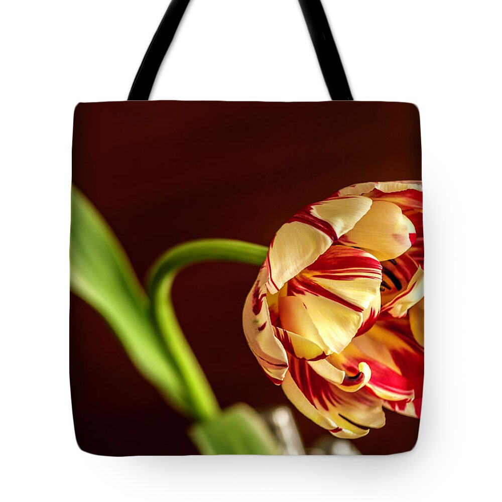 Tulip Tote Bag featuring the photograph The Tulip's bow by Wolfgang Stocker