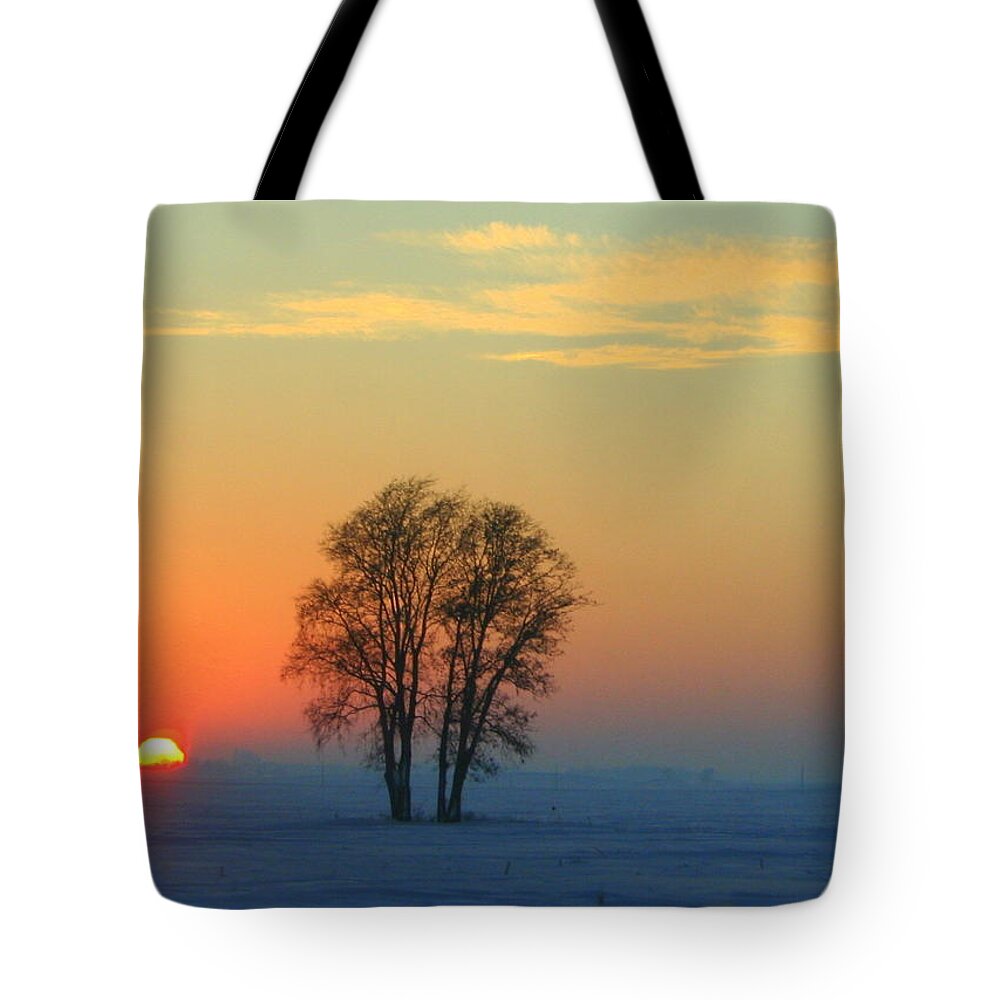 Landscape Tote Bag featuring the photograph The Twins by Julie Lueders 
