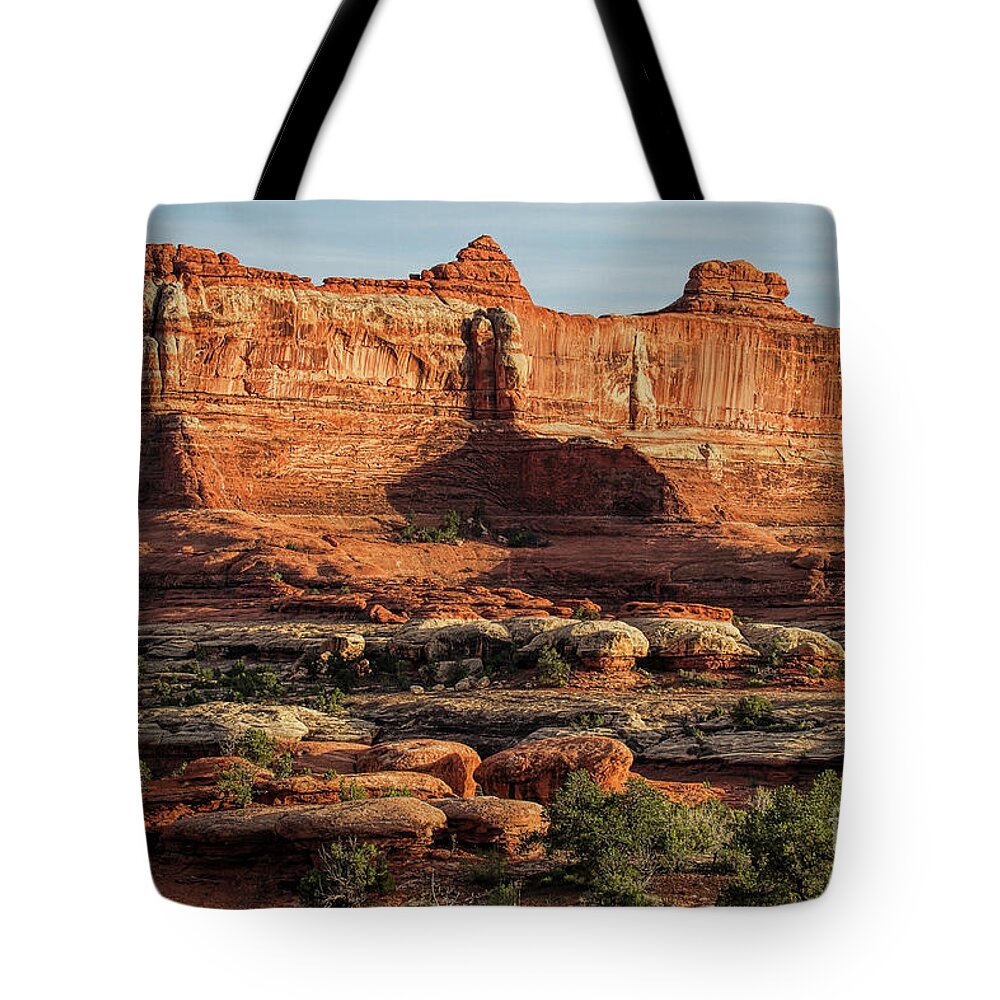 Utah Landscape Tote Bag featuring the photograph The Valley of Kings by Jim Garrison
