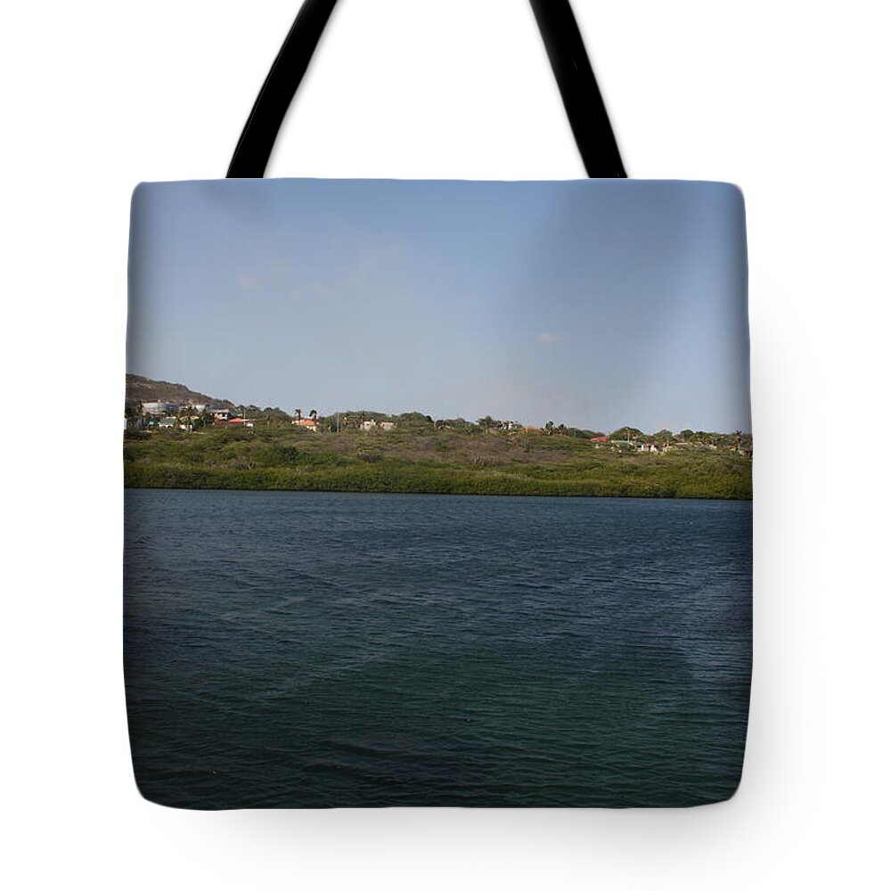 Nature Tote Bag featuring the photograph The View by Daniel Acevedo